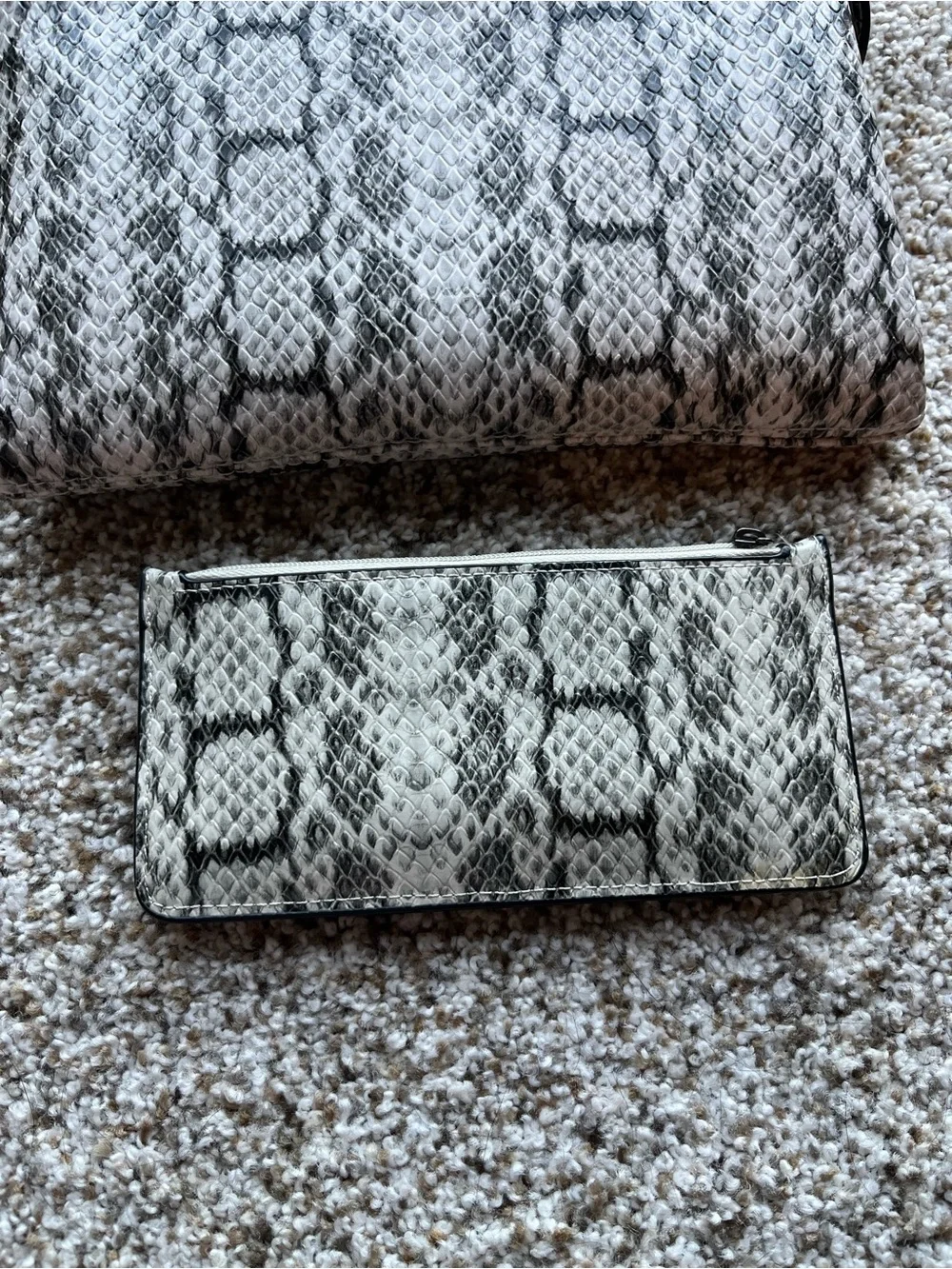 A New Day Snake-Print Crossbody Bag with Matching Card Holder